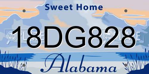 18DG828 Alabama License Plate