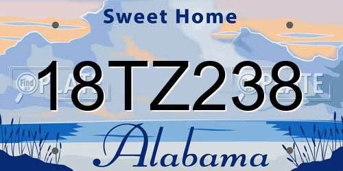 18TZ238 Alabama License Plate