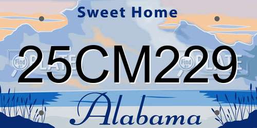 25CM229 Alabama License Plate