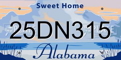 25DN315 Alabama License Plate