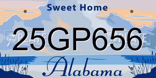 25GP656 Alabama License Plate