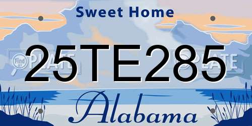 25TE285 Alabama License Plate