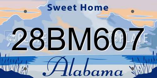 28BM607 Alabama License Plate