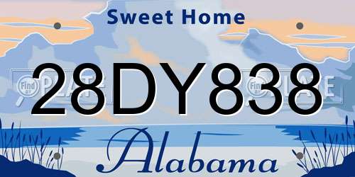 28DY838 Alabama License Plate