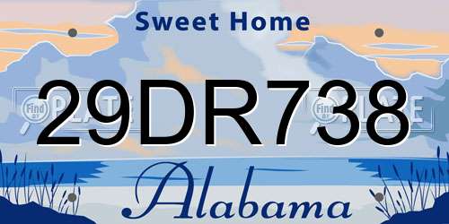 29DR738 Alabama License Plate