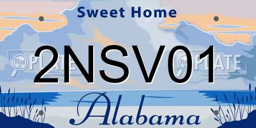 2NSV01 Alabama License Plate