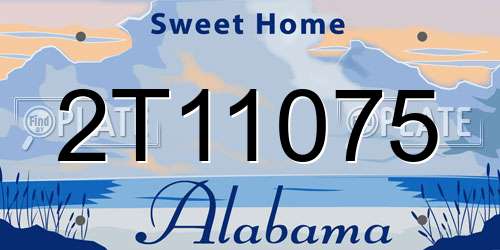 2T11075 Alabama License Plate