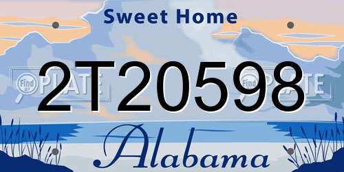 2T20598 Alabama License Plate