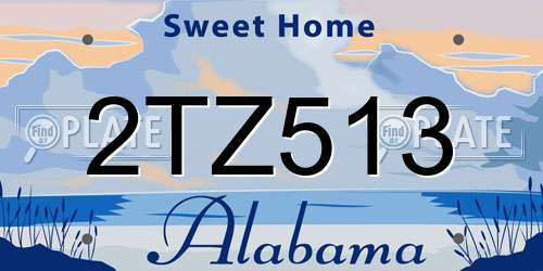 2TZ513 Alabama License Plate