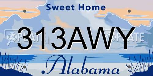 313AWY Alabama License Plate