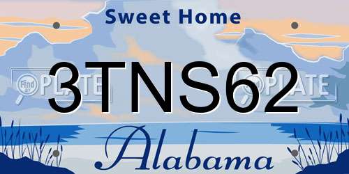 3TNS62 Alabama License Plate