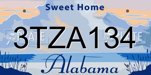 3TZA134 Alabama License Plate