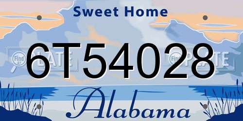 6T54028 Alabama License Plate