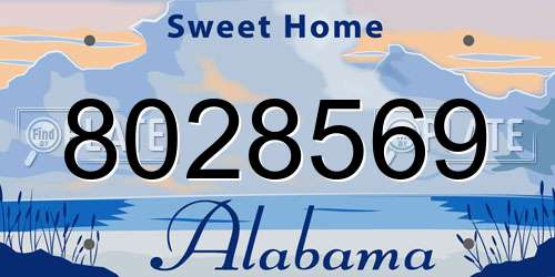 8028569 Alabama License Plate