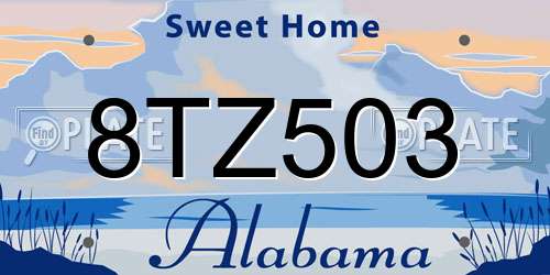 8TZ503 Alabama License Plate