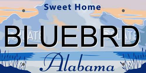 BLUEBRD Alabama License Plate