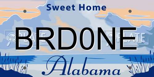 BRD0NE Alabama License Plate