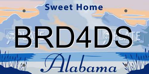 BRD4DS Alabama License Plate