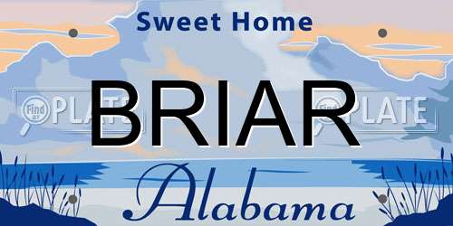 BRIAR Alabama License Plate