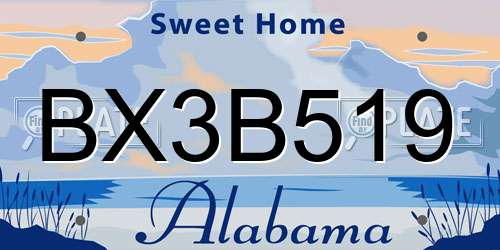 BX3B519 Alabama License Plate