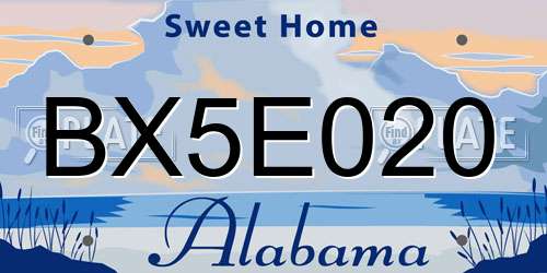 BX5E020 Alabama License Plate