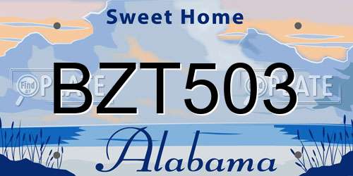 BZT503 Alabama License Plate