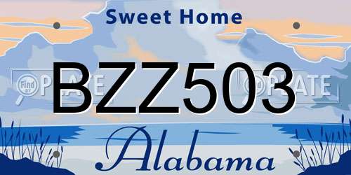 BZZ503 Alabama License Plate