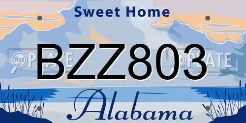 BZZ803 Alabama License Plate