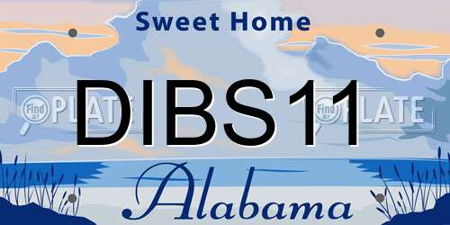 DIBS11 Alabama License Plate