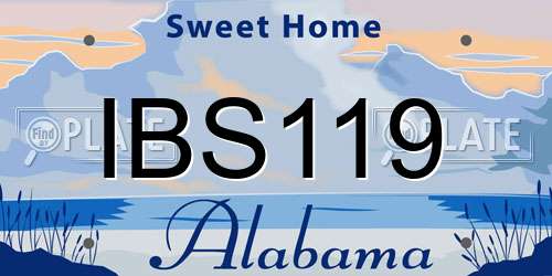 IBS119 Alabama License Plate