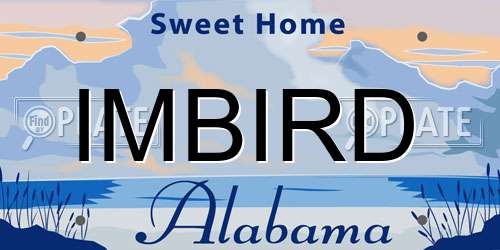 IMBIRD Alabama License Plate