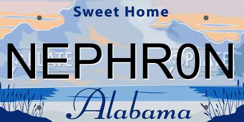 NEPHR0N Alabama License Plate