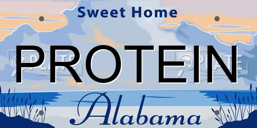 PROTEIN Alabama License Plate