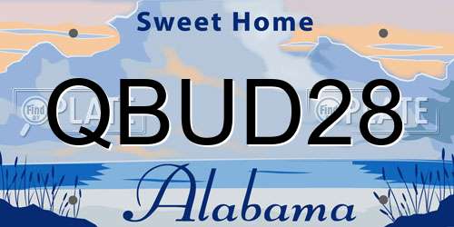 QBUD28 Alabama License Plate