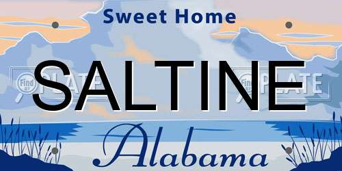 SALTINE Alabama License Plate