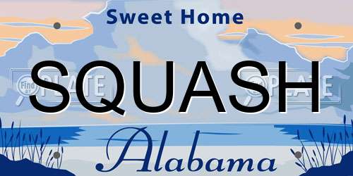 SQUASH Alabama License Plate