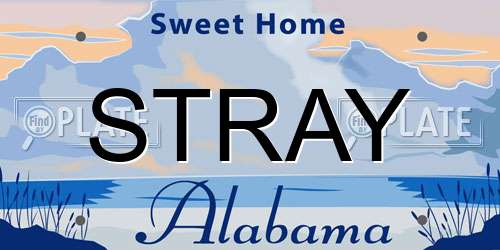 STRAY Alabama License Plate