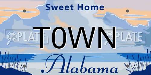 T0WN Alabama License Plate