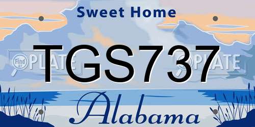 TGS737 Alabama License Plate