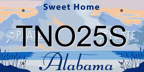TNO25S Alabama License Plate
