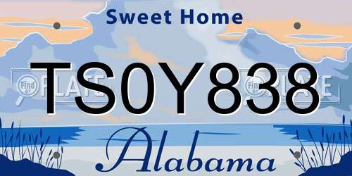 TS0Y838 Alabama License Plate