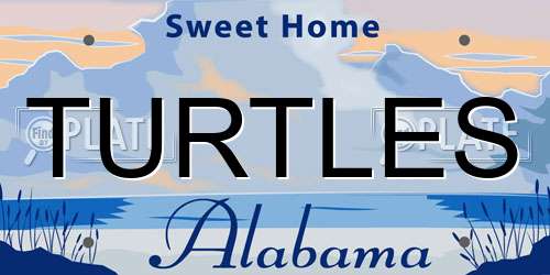 TURTLES Alabama License Plate