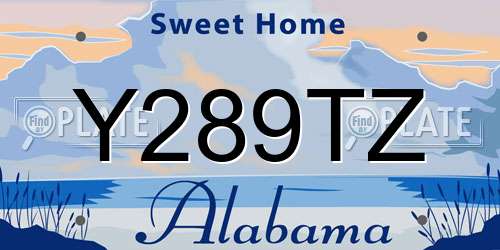 Y289TZ Alabama License Plate