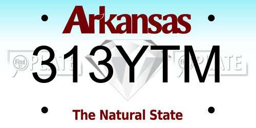 313YTM Arkansas License Plate
