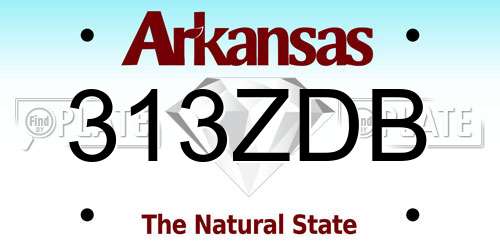 313ZDB Arkansas License Plate