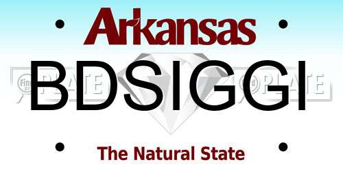 BDSIGGI Arkansas License Plate