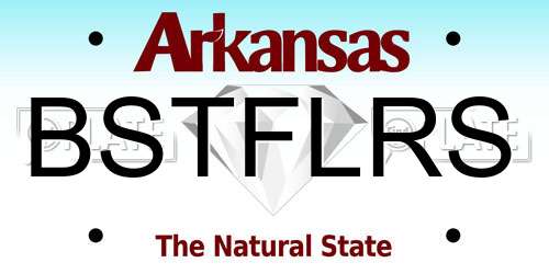 BSTFLRS Arkansas License Plate