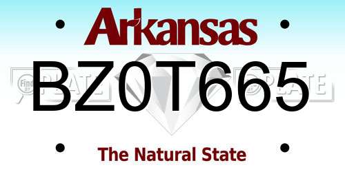 BZ0T665 Arkansas License Plate