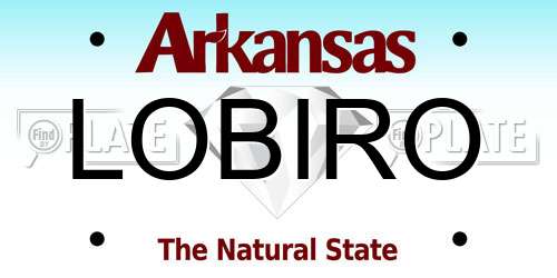 LOBIRO Arkansas License Plate
