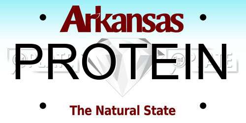PROTEIN Arkansas License Plate